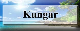 blockkungar