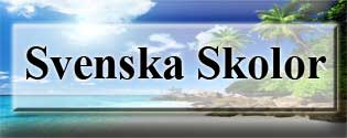blocksvenskaskolor