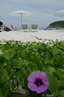 Racha Yai Island i Thailand