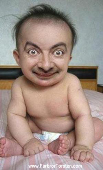 bean