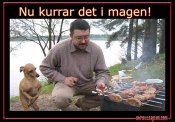 hungry-dog