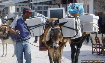 mule-move-computers