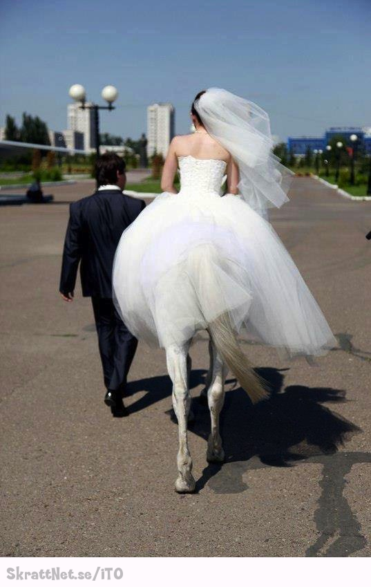 www.skrattnet.se--im-horse--1352442547.jpeg