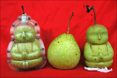 udda-paron-1