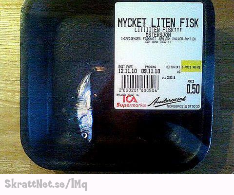 www.skrattnet.se--mycket-liten-fisk--1349856691.jpeg